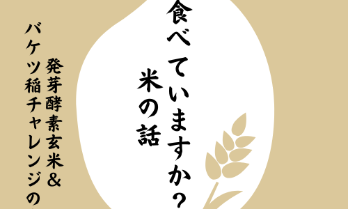 食べていますか？米の話　発芽酵素玄米＆バケツ稲づくりの巻